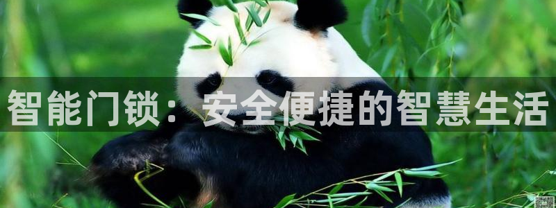 开丰娱乐登录地址入口